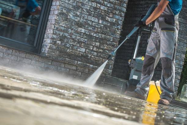 Best Sidewalk and Walkway Cleaning  in Bagdad, FL